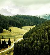 Image result for Europe Forests Sunshine