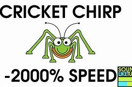 Image result for Cricket Chirp Slow-Motion