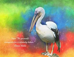 Image result for Pelican Quotes