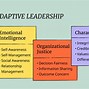 Image result for Adaptive Leadership Model