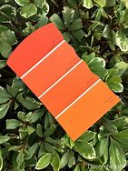 Image result for Warm Off White Paint Colors