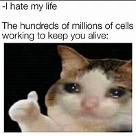 Image result for Animal Cell Meme