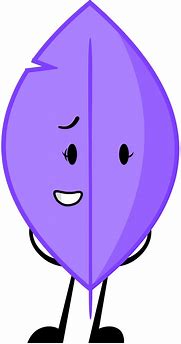 Image result for Object Swhow Purple
