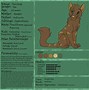 Image result for Warrior Cats Character Sheet