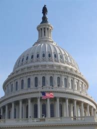 Image result for Washington DC Capitol Building Statue