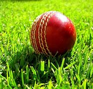 Image result for Funny Cricket Wallpaper