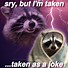 Image result for Raccoon Memes Clean