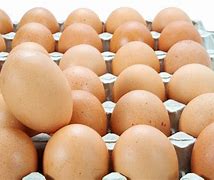 Image result for Organic Egg Production
