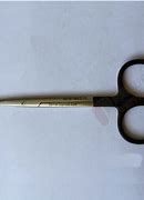 Image result for Surgical Scissors Instrument