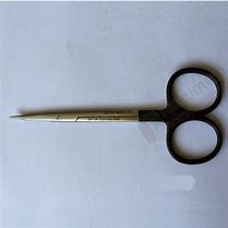 Image result for Blunt Edge Scissors