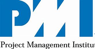 Image result for PMI Institute Logo