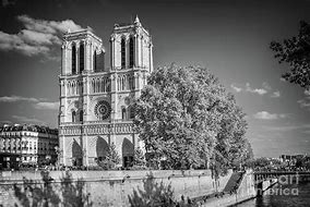 Image result for Notre Dame Black and White