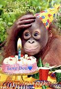 Image result for Happy Birthday Funny Monkey Meme