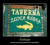 Image result for co_oznacza_zoologia