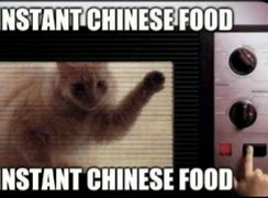 Image result for Cat Chinese Food Meme