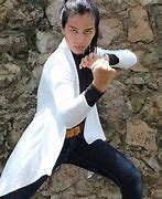 Image result for Chintya Martial Arts Movies