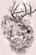 Image result for Deer Skull Sketch