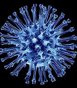Image result for Spanish Flu Microscope