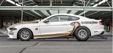 Image result for Mustang Cobra Race Car