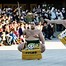Image result for Sumo Wrestling Tokyo