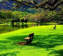 Image result for 1920X1080 Beautiful Place