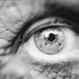 Image result for Human Eye Photography
