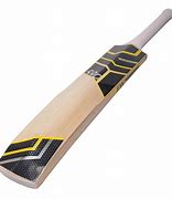 Image result for Images Containing Cricket Bat