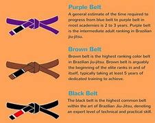 Image result for Belts in Brazilian Jiu Jitsu