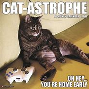 Image result for Calendar Cat Meme