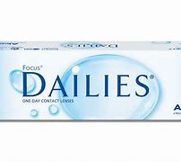 Image result for Focus Dailies