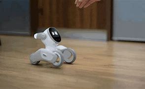 Image result for Small Companion Robot with Screen