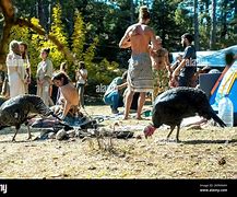 Image result for Rainbow Gathering 2022