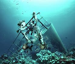 Image result for Skeletons in Shipwrecks