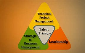 Image result for PMI Talent Triangle