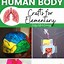 Image result for Human Body Craft KS2
