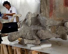 Image result for Pompeii Bodies Mother Protecting Child