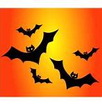 Image result for Scientific Bat Drawings