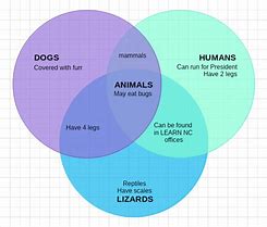 Image result for Venn Diagram Similarities and Differences