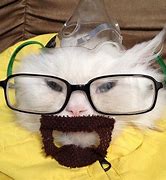 Image result for Walter White Uwu