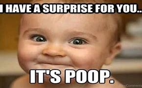 Image result for Poop Pics Funny
