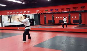 Image result for Martial Arts Forms