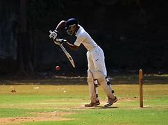 Image result for Cricketer Figures for Advertising