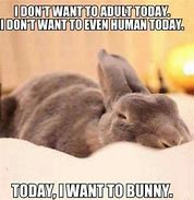 Image result for Bunny Day Memes