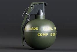 Image result for M67 Frag Grenade