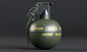 Image result for M62 Frag Grenade