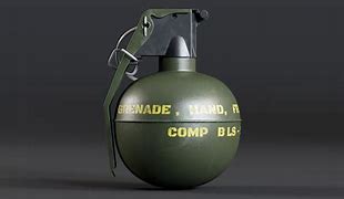 Image result for M67 High Frag Grenade