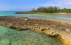 Image result for Egg Island Bahamas