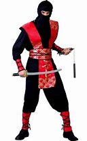 Image result for Martial Arts Master Costume