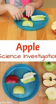 Image result for Apple 5 Senses Preschool Inge's
