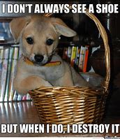 Image result for Welp Meme Puppy